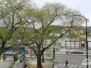 Pronájem bytu 4+kk, Praha - Nové Město, Podskalská, 106 m2