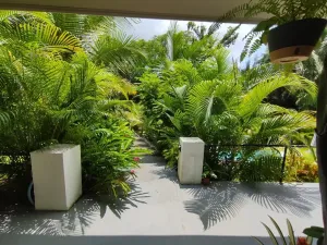 Prodej rodinného domu, Puerto Carrillo, Kostarika, 210 m2