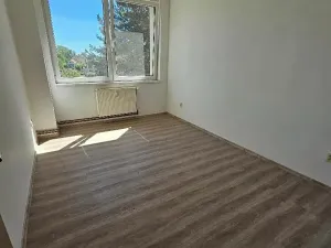 Pronájem bytu 2+kk, Mlékojedy, 50 m2