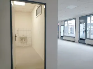 Pronájem obchodního prostoru, Brno, Palackého třída, 45 m2