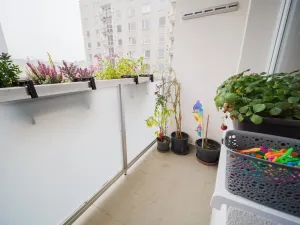 Prodej bytu 3+1, Jičín, Na jihu, 73 m2