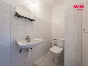 Pronájem rodinného domu, Šestajovice, Ve Skalkách, 125 m2