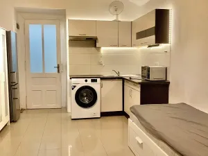 Pronájem bytu 1+kk, Praha - Vršovice, Bulharská, 20 m2