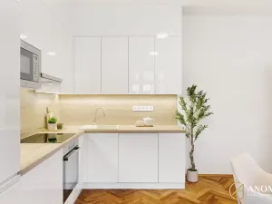 Prodej bytu 3+kk, Plzeň, Klatovská třída, 102 m2