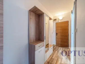 Prodej bytu 3+1, Ostrava, Lechowiczova, 77 m2