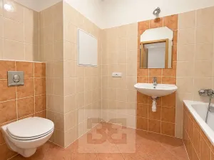 Pronájem bytu 1+kk, Brno, Dusíkova, 40 m2