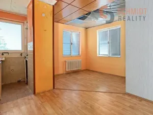 Prodej rodinného domu, Pavlov, Družstevní, 176 m2