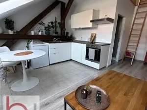 Pronájem bytu 1+kk, České Budějovice, Matice školské, 35 m2