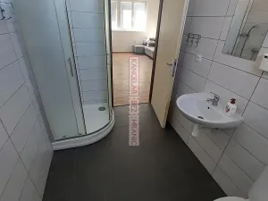 Pronájem bytu 1+1, Boršice, 40 m2