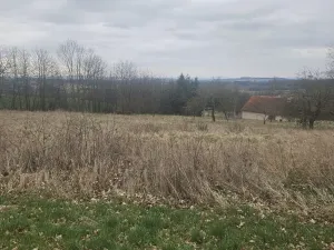 Dražba pozemku pro bydlení, Mezno, 5329 m2