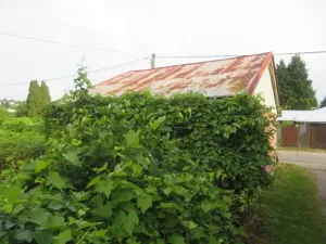 Dražba garáže, Černošice, Ukrajinská, 10 m2