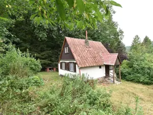 Prodej chaty, Černé Voděrady, Havírna, 30 m2