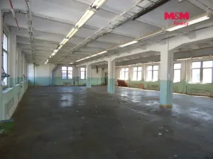 Pronájem výrobních prostor, Jílové - Modrá, 260 m2
