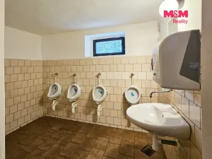 Prodej restaurace, Mařenice - Dolní Světlá, 2902 m2