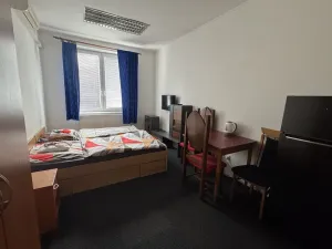 Pronájem bytu 1+kk, Hranice - Hranice I-Město, Teplická, 23 m2