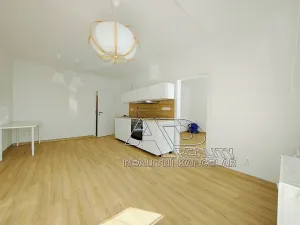 Pronájem bytu 2+kk, České Budějovice, 49 m2