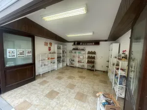 Prodej obchodního prostoru, Karlštejn, 54 m2