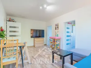 Prodej bytu 3+1, Přerov, Interbrigadistů, 60 m2