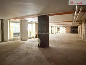 Pronájem obchodního prostoru, Praha - Nové Město, Vodičkova, 800 m2