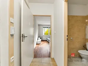 Prodej bytu 1+1, Plzeň - Severní Předměstí, Brněnská, 48 m2