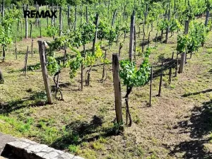 Prodej chalupy, Pincehely, Maďarsko, 145 m2