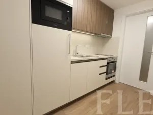Pronájem bytu 1+kk, Praha - Žižkov, Hartigova, 38 m2