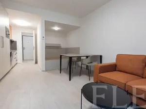 Pronájem bytu 1+kk, Praha - Žižkov, Hartigova, 34 m2