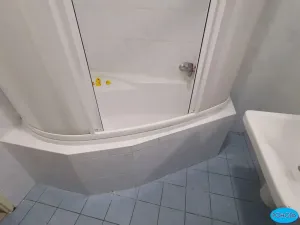 Pronájem bytu 2+kk, Tisová, 65 m2