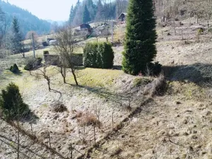 Prodej louky, Železný Brod, 4168 m2