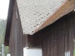 Dražba - jiné, Hartmanice, 10 m2