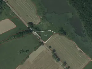 Dražba louky, Vodňany, 2663 m2