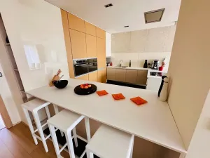 Prodej bytu 4+kk, Brno, Dřevařská, 172 m2