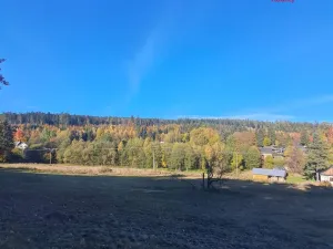Prodej pole, Stará Ves, 8308 m2