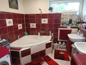 Prodej rodinného domu, Pulečný, 400 m2