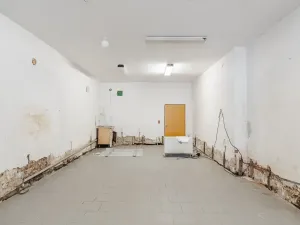 Prodej rodinného domu, Nové Hrady, 240 m2
