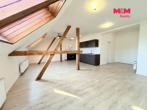 Pronájem bytu 1+kk, Praha - Dejvice, Koulova, 61 m2