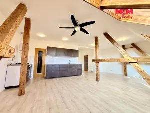 Pronájem bytu 1+kk, Praha - Dejvice, Koulova, 61 m2