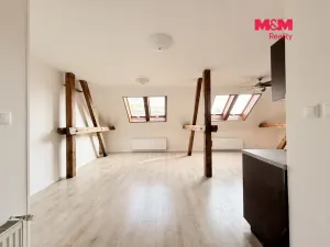 Pronájem bytu 1+kk, Praha - Dejvice, Koulova, 61 m2