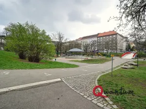 Pronájem bytu 1+1, Praha - Vinohrady, Fričova, 41 m2