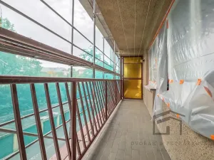 Prodej bytu 2+1, Praha - Vinohrady, Fričova, 55 m2
