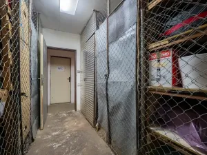 Prodej bytu 2+1, Praha - Vinohrady, Fričova, 55 m2