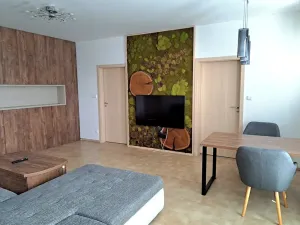 Pronájem bytu 3+kk, Brno, Kotěrova, 66 m2