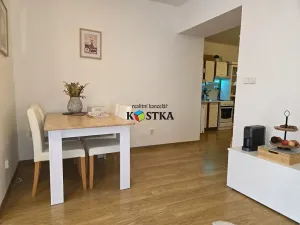 Pronájem bytu 1+1, Nový Jičín, K Nemocnici, 47 m2