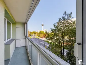 Prodej bytu 4+kk, Pardubice - Zelené Předměstí, K Polabinám, 104 m2