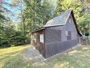 Prodej chaty, Borová, 53 m2