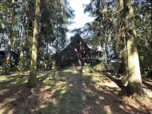 Prodej chaty, Borová, 53 m2