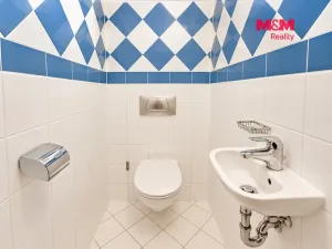 Prodej bytu 3+kk, Praha - Vinohrady, U Zvonařky, 100 m2