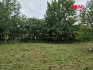 Prodej pozemku pro bydlení, Bor - Boječnice, 1115 m2