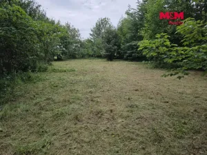 Prodej pozemku pro bydlení, Bor - Boječnice, 1115 m2
