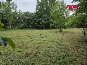 Prodej pozemku pro bydlení, Bor - Boječnice, 1115 m2